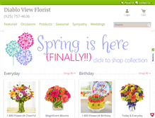 Tablet Screenshot of diabloviewflorist.net